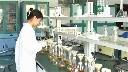 長(zhǎng)沙建設(shè)中試基地 技術(shù)咨詢(xún)與服務(wù)如何為全球研發(fā)中心注入核心動(dòng)能